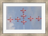 Snowbirds 431 Air Squadron of the Canadian Air Force Fine Art Print