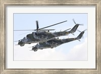 Czech Air Force Mi-24 Hind Helicopters Fine Art Print