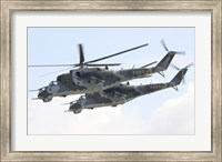 Czech Air Force Mi-24 Hind Helicopters Fine Art Print