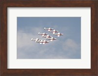 The Snowbirds 431 Air Demonstration Squadron of the Royal Canadian Air Force Fine Art Print