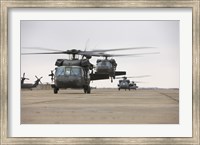 UH-60 Black Hawks taxis out for a mission over northern Iraq Fine Art Print