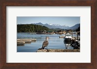 British Columbia, Vancouver Island, Strathcona Park, Harbor Fine Art Print
