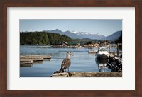 British Columbia, Vancouver Island, Strathcona Park, Harbor Fine Art Print