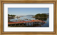 Dock and harbor, Tofino, Vancouver Island, British Columbia Fine Art Print