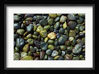 Patterns, Rebecca Spit, Quadra Isl, British Columbia Fine Art Print