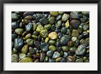 Patterns, Rebecca Spit, Quadra Isl, British Columbia Fine Art Print