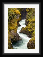 River, Vancouver Island, British Columbia Fine Art Print