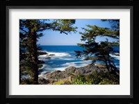 Wild Pacific Trail, Vancouver Island British Columbia Fine Art Print