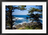 Wild Pacific Trail, Vancouver Island British Columbia Fine Art Print