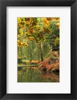 Colorful Fall Leaves at Butchart Gardens, Victoria, British Columbia, Canada Fine Art Print