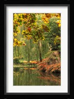 Colorful Fall Leaves at Butchart Gardens, Victoria, British Columbia, Canada Fine Art Print