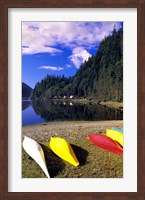 Canoeing, Clayoquot Wilderness, British Columbia Fine Art Print