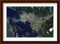 Satellite view of the Frasier River, British Columbia, Canada Fine Art Print