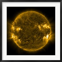 Solar Activity on the Sun Fine Art Print