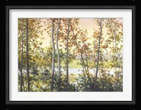 Autumn Shady Framed Print