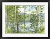 Summer Lake IV Framed Print