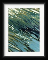 Desert Oasis Fine Art Print