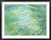 Turquoise Beach Fine Art Print