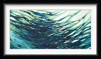 Underwater Reflections Fine Art Print