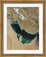 Satellite view of the Persian Gulf Fine Art Print