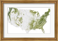 Map of the United States Showing the Concentration of Biomass Fine Art Print