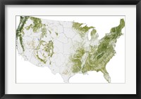 Map of the United States Showing the Concentration of Biomass Fine Art Print