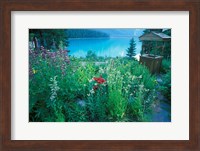 Emerald Lake, Yoho National Park, British Columbia Fine Art Print