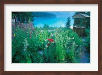 Emerald Lake, Yoho National Park, British Columbia Fine Art Print