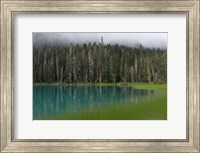 Blue glacial lake, evergreen forest, British Columbia Fine Art Print