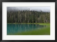 Blue glacial lake, evergreen forest, British Columbia Fine Art Print