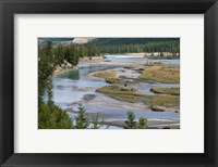 Rivers in Jasper National Park, Canada Fine Art Print