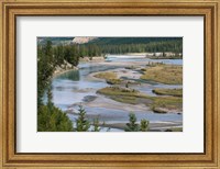 Rivers in Jasper National Park, Canada Fine Art Print