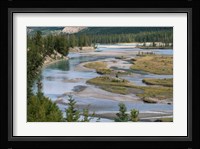 Rivers in Jasper National Park, Canada Fine Art Print