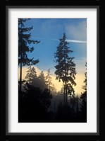 Stanley Park, Vancouver, British Columbia, Canada Fine Art Print