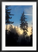 Stanley Park, Vancouver, British Columbia, Canada Fine Art Print