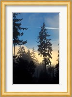 Stanley Park, Vancouver, British Columbia, Canada Fine Art Print