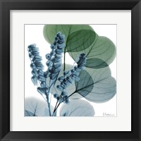 Lilly Of Eucalyptus Fine Art Print