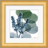 Lilly Of Eucalyptus Fine Art Print