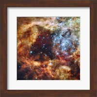 Hubble's Festive View of a Grand Star-Forming Region Fine Art Print