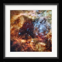 Hubble's Festive View of a Grand Star-Forming Region Fine Art Print