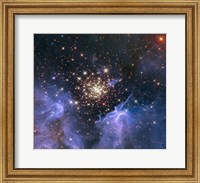 Starburst Cluster Shows Celestial Fireworks Fine Art Print