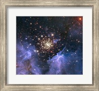Starburst Cluster Shows Celestial Fireworks Fine Art Print