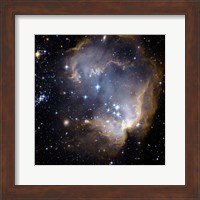 Hubble Observes Infant Stars in Nearby Galaxy Fine Art Print