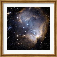 Hubble Observes Infant Stars in Nearby Galaxy Fine Art Print