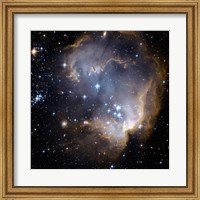 Hubble Observes Infant Stars in Nearby Galaxy Fine Art Print