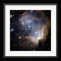 Hubble Observes Infant Stars in Nearby Galaxy Fine Art Print