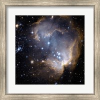 Hubble Observes Infant Stars in Nearby Galaxy Fine Art Print