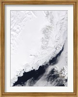 Various types of Sea Ice Congregate along the East Coast of Greenland Fine Art Print