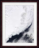 Various types of Sea Ice Congregate along the East Coast of Greenland Fine Art Print