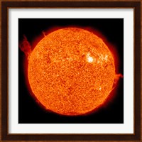 Solar activity on the Sun Fine Art Print